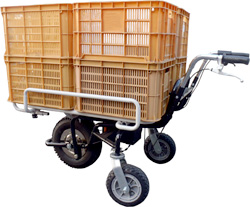 three-wheeled electric carrier