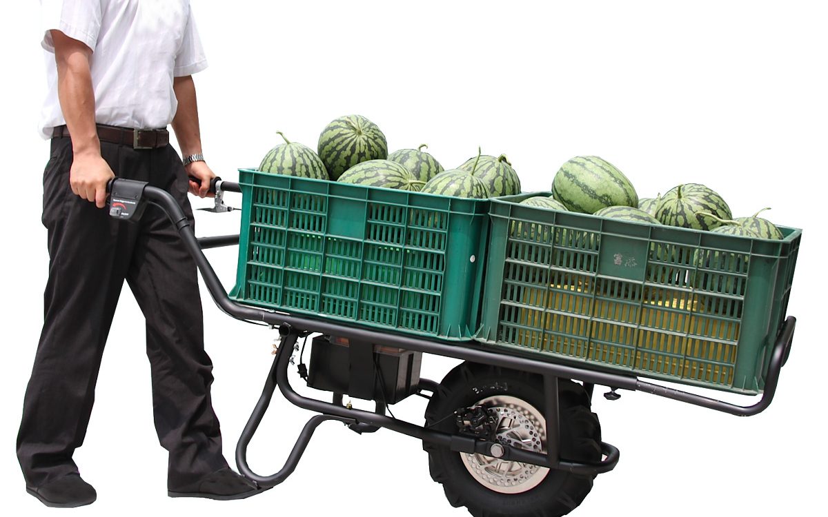 1 wheel electric carrier